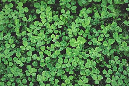 姓訾的名字大全 怎么取名最好听有内涵